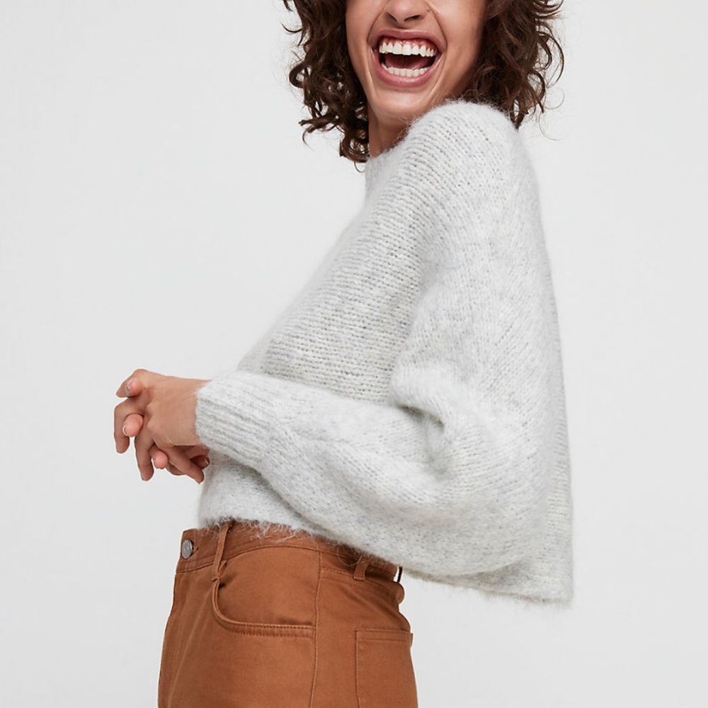 Aritzia Wilfred Free Cozy Sweater